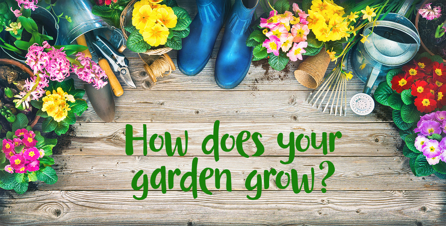How Does Your Garden Grow How Does Your Garden Grow Infobox Album